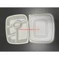 Biodegradable Disposable Sugarcane Bagasse Food Containers